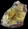 Lustrous, Yellow Cubic Fluorite Crystals - Morocco #44887-2